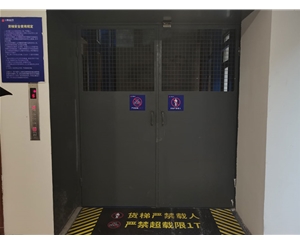 电磁对开门